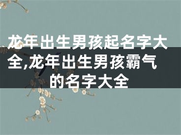 龙年出生男孩起名字大全,龙年出生男孩霸气的名字大全