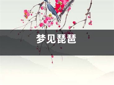 梦见琵琶