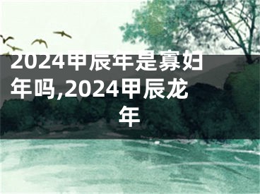 2024甲辰年是寡妇年吗,2024甲辰龙年