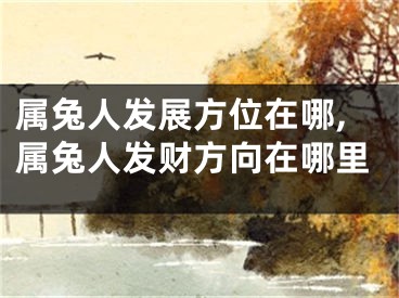 属兔人发展方位在哪,属兔人发财方向在哪里