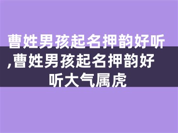 曹姓男孩起名押韵好听,曹姓男孩起名押韵好听大气属虎