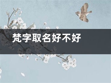  梵字取名好不好 