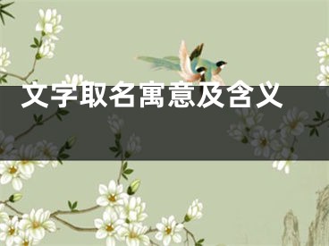  文字取名寓意及含义 