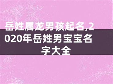 岳姓属龙男孩起名,2020年岳姓男宝宝名字大全