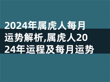 2024年属虎人每月运势解析,属虎人2024年运程及每月运势