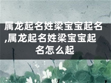 属龙起名姓梁宝宝起名,属龙起名姓梁宝宝起名怎么起