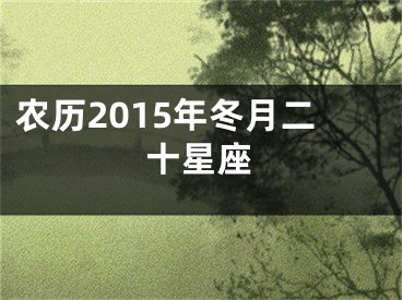 农历2015年冬月二十星座