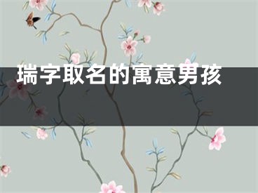  瑞字取名的寓意男孩 