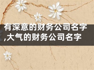 有深意的财务公司名字,大气的财务公司名字