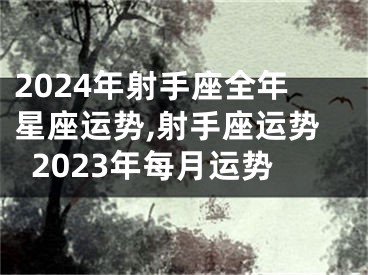 2024年射手座全年星座运势,射手座运势2023年每月运势