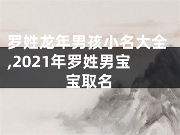 罗姓龙年男孩小名大全,2021年罗姓男宝宝取名