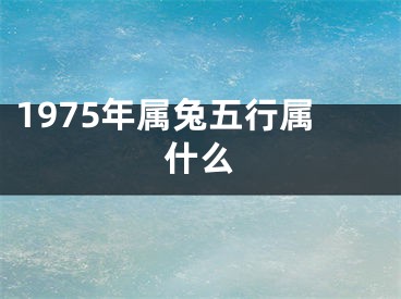 1975年属兔五行属什么