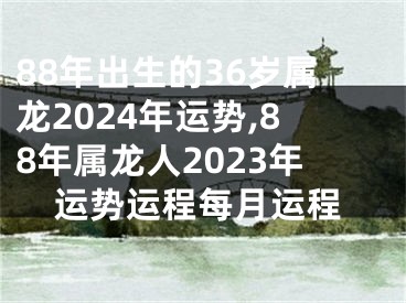 88年出生的36岁属龙2024年运势,88年属龙人2023年运势运程每月运程