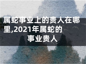 属蛇事业上的贵人在哪里,2021年属蛇的事业贵人