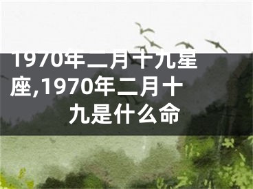 1970年二月十九星座,1970年二月十九是什么命