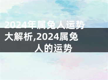 2024年属兔人运势大解析,2024属兔人的运势