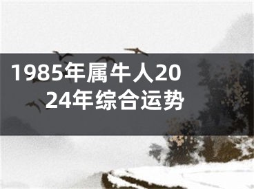 1985年属牛人2024年综合运势