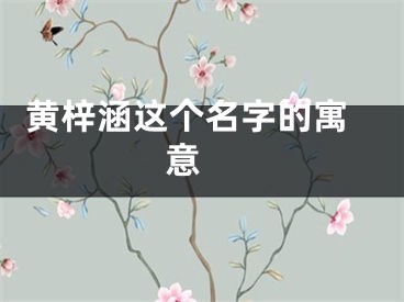  黄梓涵这个名字的寓意 