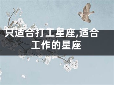 只适合打工星座,适合工作的星座