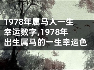 1978年属马人一生幸运数字,1978年出生属马的一生幸运色