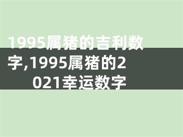 1995属猪的吉利数字,1995属猪的2021幸运数字