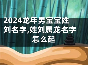 2024龙年男宝宝姓刘名字,姓刘属龙名字怎么起