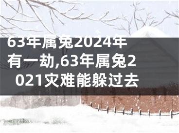 63年属兔2024年有一劫,63年属兔2021灾难能躲过去