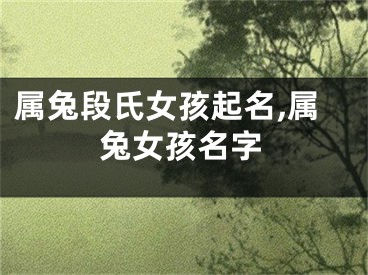 属兔段氏女孩起名,属兔女孩名字