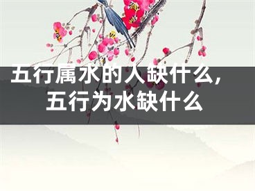 五行属水的人缺什么,五行为水缺什么