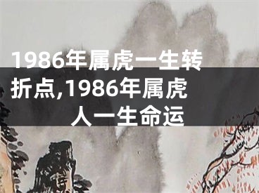 1986年属虎一生转折点,1986年属虎人一生命运