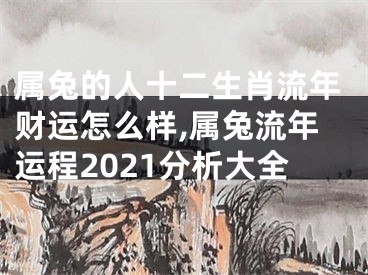 属兔的人十二生肖流年财运怎么样,属兔流年运程2021分析大全