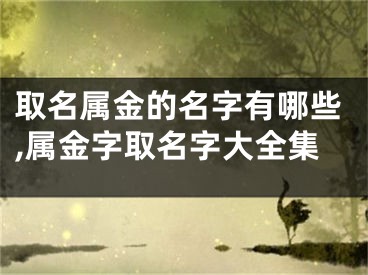 取名属金的名字有哪些,属金字取名字大全集