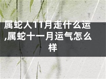 属蛇人11月走什么运,属蛇十一月运气怎么样