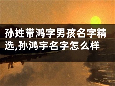 孙姓带鸿字男孩名字精选,孙鸿宇名字怎么样