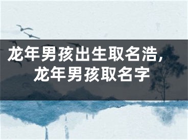 龙年男孩出生取名浩,龙年男孩取名字