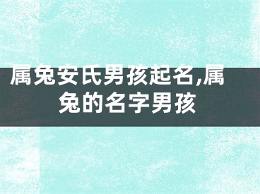 属兔安氏男孩起名,属兔的名字男孩