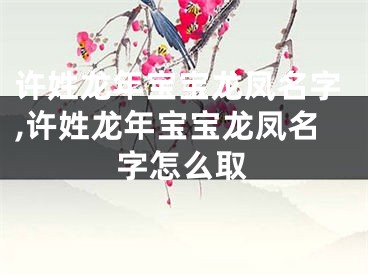 许姓龙年宝宝龙凤名字,许姓龙年宝宝龙凤名字怎么取