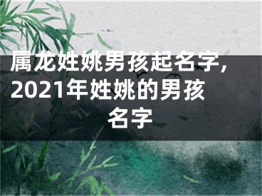 属龙姓姚男孩起名字,2021年姓姚的男孩名字