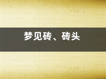 梦见砖、砖头