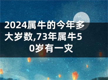 2024属牛的今年多大岁数,73年属牛50岁有一灾