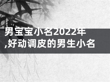 男宝宝小名2022年,好动调皮的男生小名