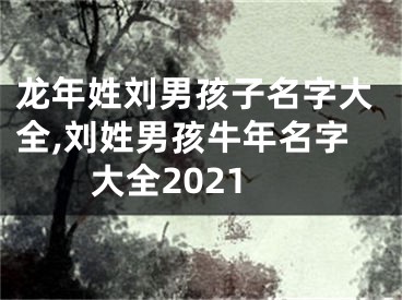 龙年姓刘男孩子名字大全,刘姓男孩牛年名字大全2021