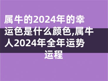 属牛的2024年的幸运色是什么颜色,属牛人2024年全年运势运程