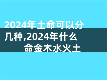 2024年土命可以分几种,2024年什么命金木水火土