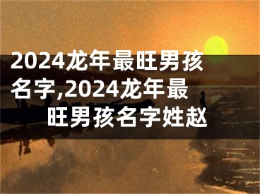 2024龙年最旺男孩名字,2024龙年最旺男孩名字姓赵