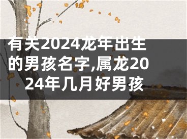 有关2024龙年出生的男孩名字,属龙2024年几月好男孩