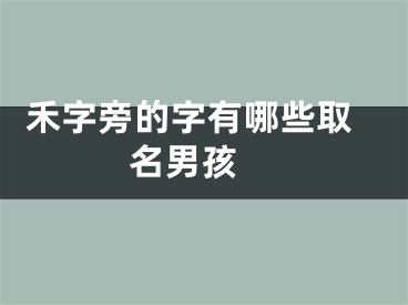  禾字旁的字有哪些取名男孩 