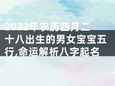 2022年农历四月二十八出生的男女宝宝五行,命运解析八字起名