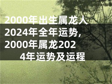 2000年出生属龙人2024年全年运势,2000年属龙2024年运势及运程