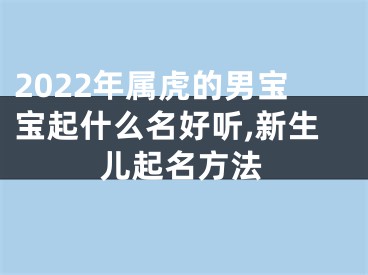 2022年属虎的男宝宝起什么名好听,新生儿起名方法